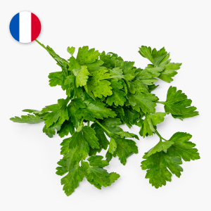 Persil - 20 g (France) Persil - 20 g (France)