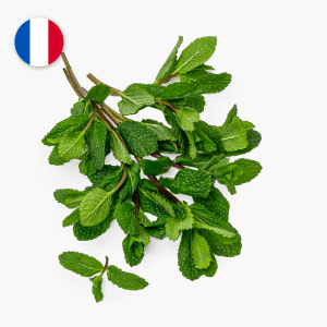 Menthe - 20 g (France) Menthe - 20 g (France)