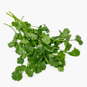 Coriandre - 20 g (Maroc) Coriandre - 20 g (Maroc)