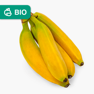 Bananes bio - 5 pce (Équateur) Bananes bio - 5 pce (Équateur)