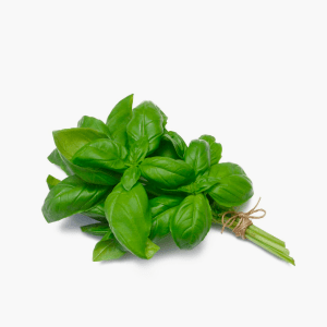 Basilic - 20 g (Israël) Basilic - 20 g (Israël)