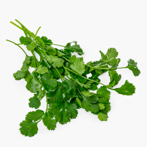 Coriandre - 30 g (Maroc) Coriandre - 30 g (Maroc)