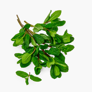 Menthe - 30 g (Israël) Menthe - 30 g (Israël)