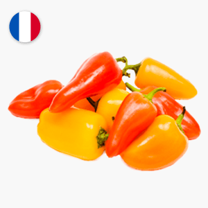 Mini poivrons - 200 g (France) Mini poivrons - 200 g (France)