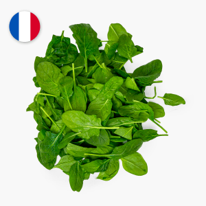 Épinards - 400 g (France) Épinards - 400 g (France)