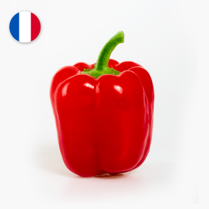 Poivron rouge - 1 pce (France) Poivron rouge - 1 pce (France)