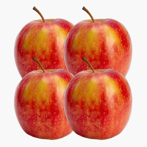 Appel Gala 4st