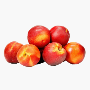 Nectarines schaal 500g