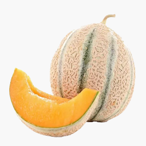 Meloen cantaloupe 1st