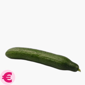 Komkommer 1st