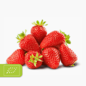 Bio Erdbeeren 250g (Spanien)