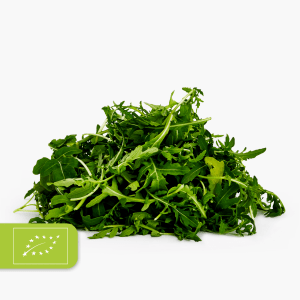 Bio Rucola 125g (Italien)