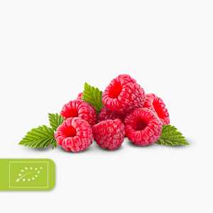 Bio Himbeeren 125g (Spanien)