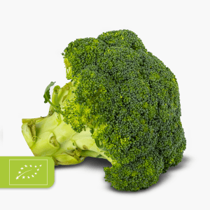 Bio Broccoli 1 Stk. (Italien)