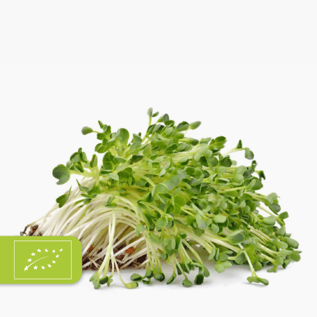 Alfalfasprossen Bio 50g