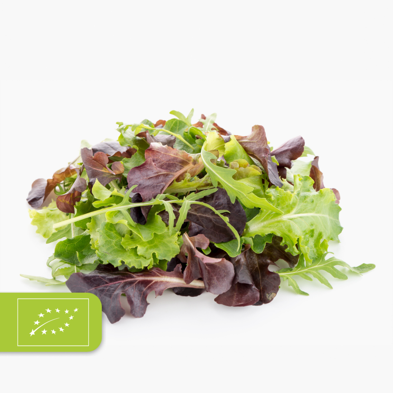 Bio Pflücksalat 125g (Italien)