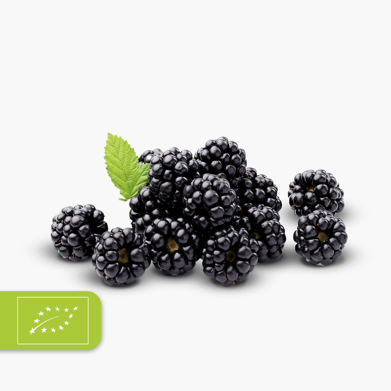 Bio Brombeeren 125g (Deutschland)