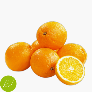 Orange Bio 1,5kg Netz