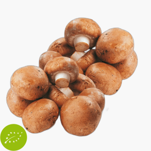 Bio Champignons Braun 250g