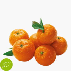 Bio Clementinen im Netz 1kg [old]
