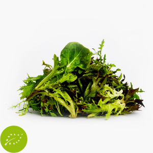 Bio Mixsalat 125g