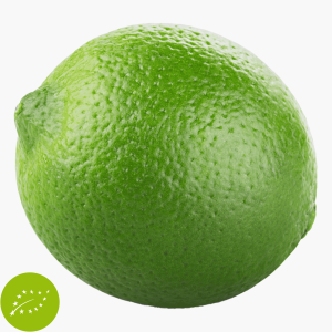 Bio Limette 1 Stk.