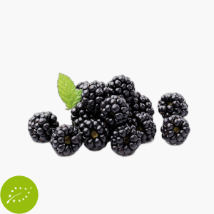 Bio Brombeeren 125g