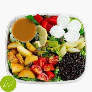 EAMgo Bio Salad Mozzarella & Greens mit Balsamico-Maple-Vinaigrette 405g