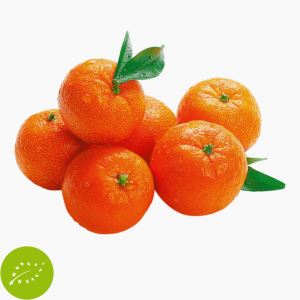 Bio Mandarinen im Netz 750g