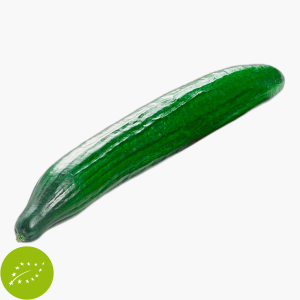 Bio Gurke 1 Stk.