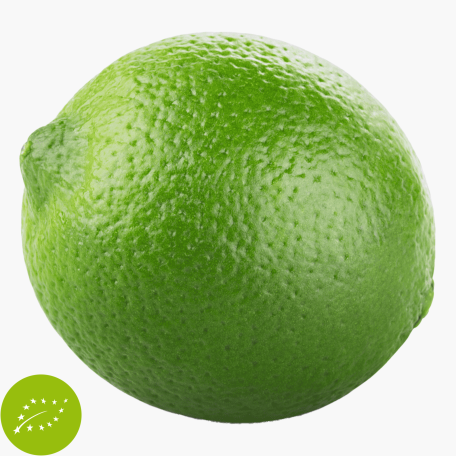 Bio Limette 1 Stk.