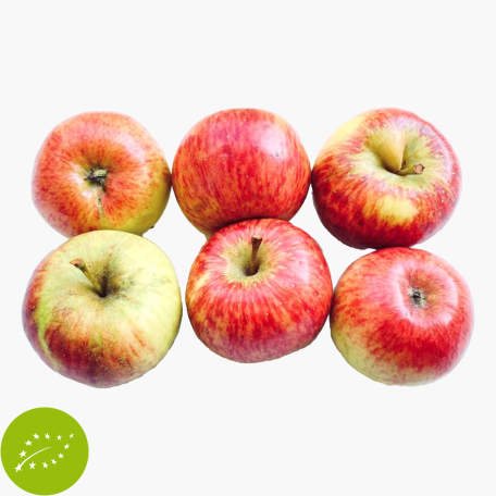 Bio Apfel Rot 550g