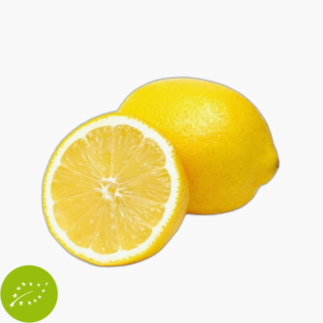 Bio Zitronen 500g Netz