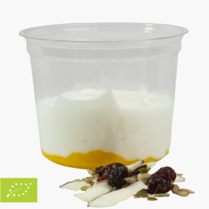 Kokos yoghurt met mango en zaden 210g