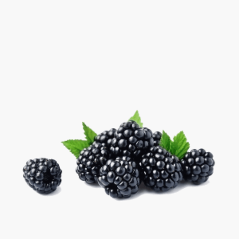 Brombeeren 125g (Italien)