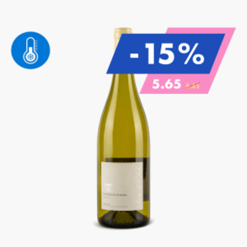 Sud-Ouest Gaillac AOC - Château de Rodes - Blanc (75cl)