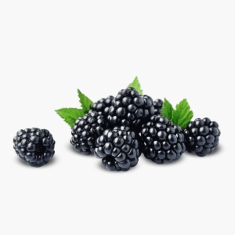 Brombeeren 125g (Niederlande)