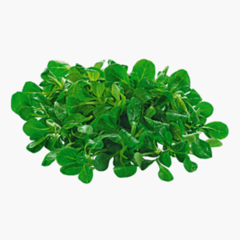 Feldsalat Gewaschen 250g (Deutschland)