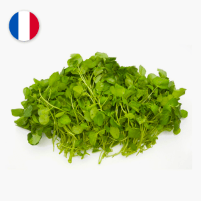 Cresson - 150 g (Ile de France)