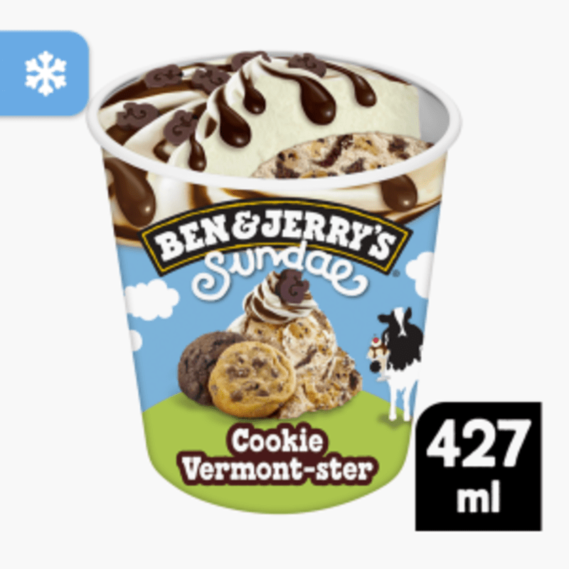 Ben & Jerry's Sundae Cookie Vermonster 427ml