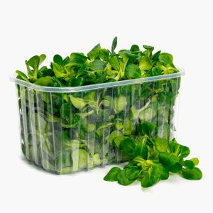 Feldsalat 150g (Frankreich) Feldsalat 150g (Frankreich)