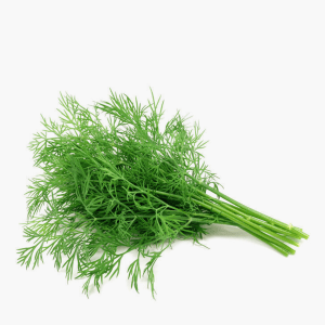 Dill 15g Dill 15g