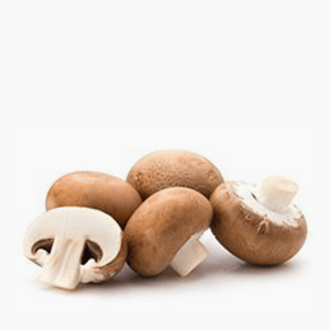 Champignons braun 250g Champignons braun 250g