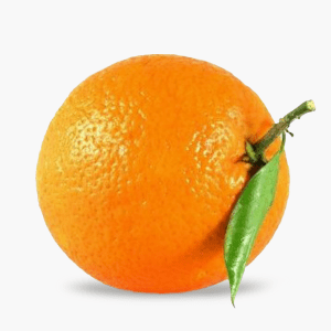 Oranges de table - 1 kg (Europe) Oranges de table - 1 kg (Europe)