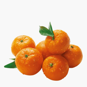 Bio Clementinen im Netz 1kg Bio Clementinen im Netz 1kg