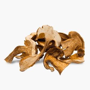 Steinpilzköpfe getrocknet 30g (Polen) Steinpilzköpfe getrocknet 30g (Polen)