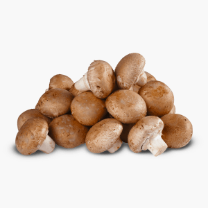 Champignons braun 250g (Kroatien) Champignons braun 250g (Kroatien)