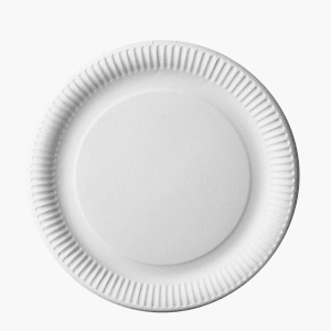 Assiettes en carton blanc 29cm x12 Assiettes en carton blanc 29cm x12