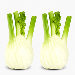 Fenchel Bio 2 Stk. 500g (Deutschland) Fenchel Bio 2 Stk. 500g (Deutschland)