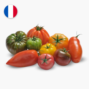 Tomates anciennes mélangées - 500 g (France) Tomates anciennes mélangées - 500 g (France)